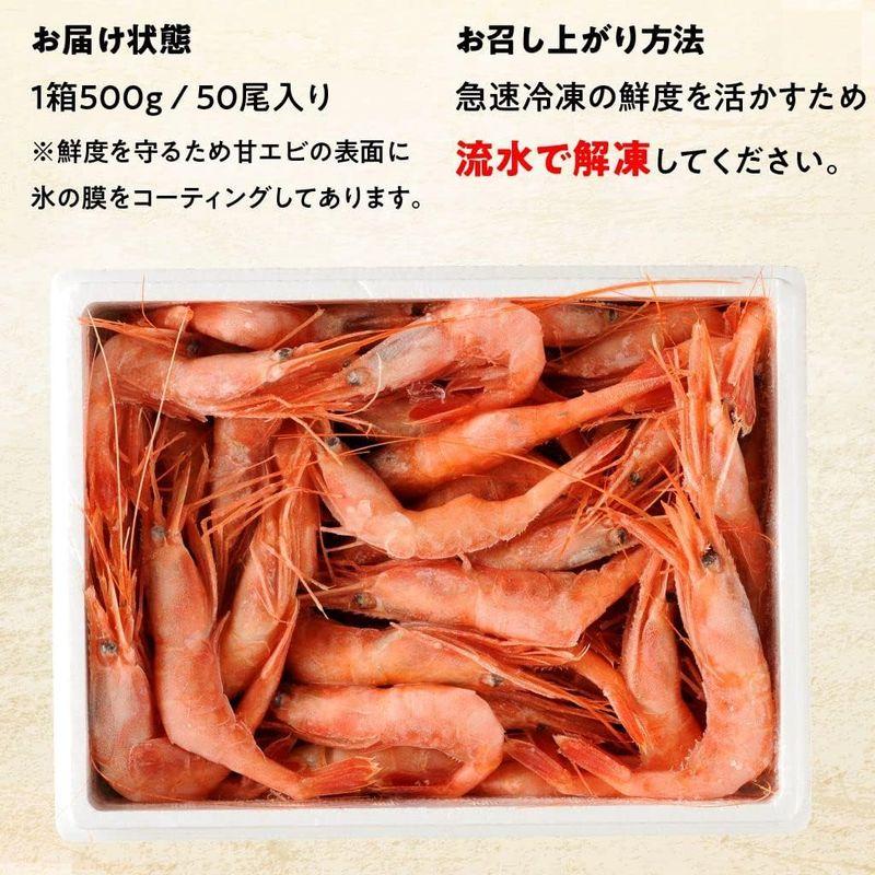 甘エビ 500g 約50尾 福井県産 国産 産地直送 子無し 天然 甘くて美味しい あまえび アマエビ お刺身 お寿司