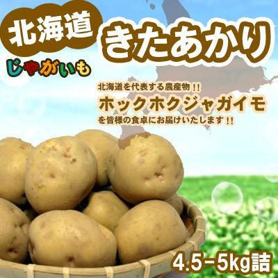 きたあかり 北海道 じゃがいも Lサイズ4.5-5kg前後  送料無料 沖縄は送料別途加算 御歳暮 クリスマス 正月