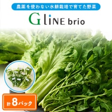 G Line brio レタス8パックセット