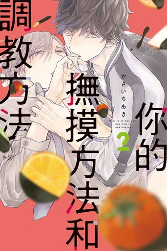 你的撫摸方法和調教方法（2）[二手書_良好]