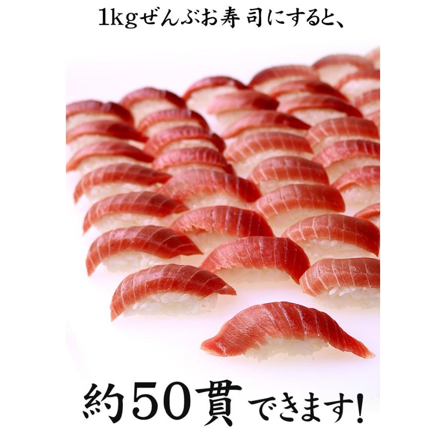 ※12 11〜12 30お届け限定 本マグロ中トロ1kg！送料無料 解凍レシピ付 マグロ刺身《pbt-bf14》〈bf1〉yd9[[本鮪中トロセット1kg]