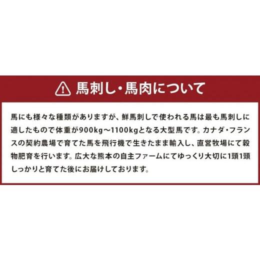 ふるさと納税 熊本県 高森町 霜降り 馬刺し 約320g 熊本県 高森町 ブロック 馬刺 タレ付き