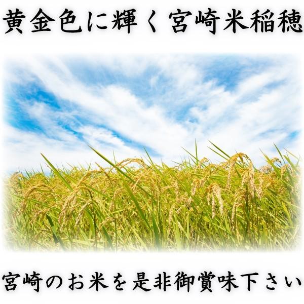 お米 米 10kg 白米 送料無料 宮崎県産 あきたこまち 新米 令和5年産 5kg2個 みやざきのお米 富田商店 とみた商店