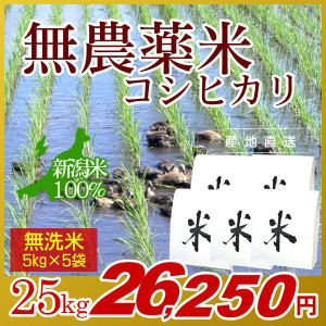 お米 25kg 無洗米 農薬不使用米 希少米コシヒカリ (5kg×5袋) 令和5年産 新米   米 新潟米 ブランド米 アイガモ農法 新潟 新潟県産 国内