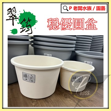 P老闆園藝~翠筠 穩優圓盆 尺1~尺8 塑膠盆 花盆 塑膠花盆 盆栽容器 仿水泥盆 水泥盆 花器 陶瓷花盆 盆器 大花盆