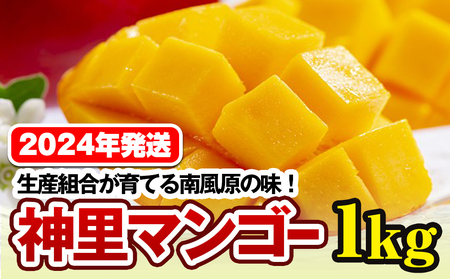 生産組合が育てる南風原の味　神里マンゴー1kg