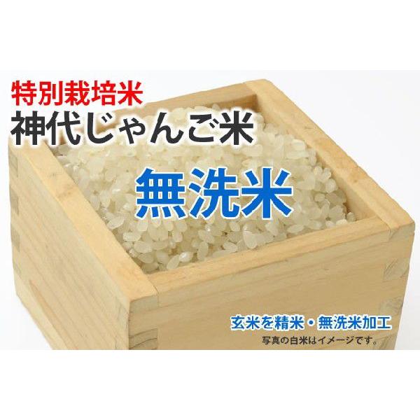 令和５年産新米・神代じゃんご米