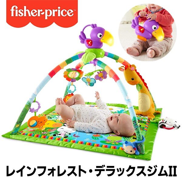 本日超得 赤ちゃん 出産 お祝い レインフォレスト ベビージム ランキング入賞商品 Elvemobilya Com