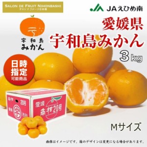 [予約 2024年1月1日必着] 宇和島みかん M 約3kg 愛媛県 産地箱 うわじま レギュラー デイリー 早生 南柑20号ミカン 産地箱 お正月必着指