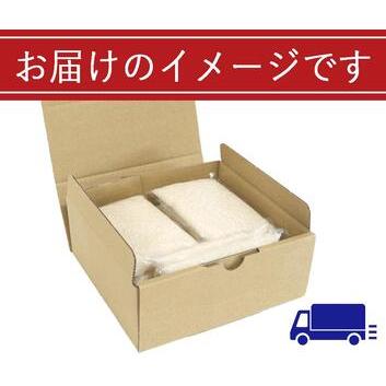 ふるさと納税 無洗米　魚沼産こしひかり1合×10袋　新潟県認証特別栽培米　令和５年度米 新潟県十日町市