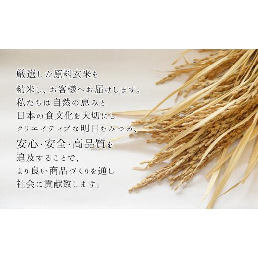 ふるさと納税 熊本県 和水町 令和5年産 無洗米 南関郷のお米 「ひのひかり」10kg 熊本県産