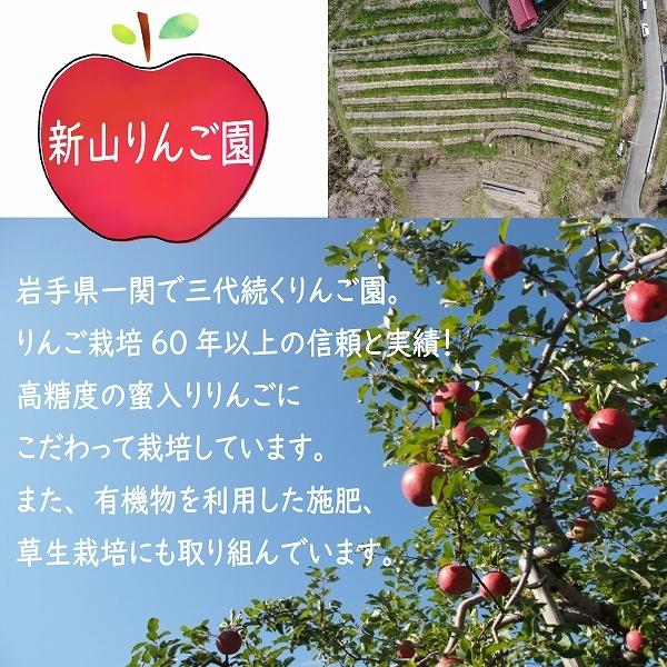 りんご シナノゴールド 20玉 送料無料 訳あり ご自宅用 岩手県産 産地直送