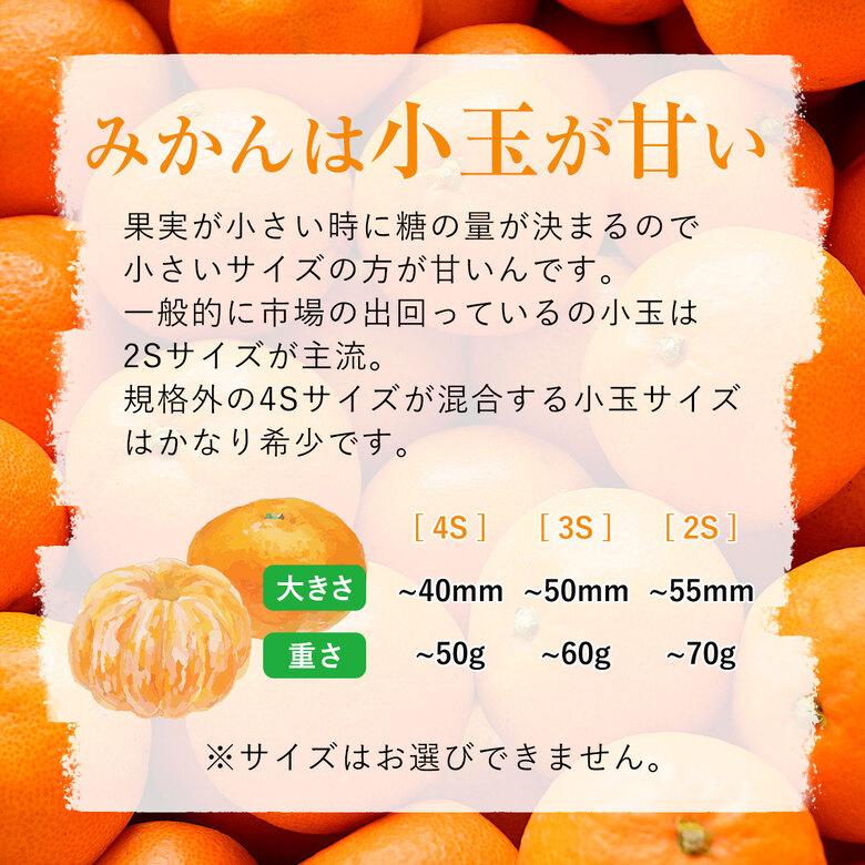 送料無料 長崎小玉みかん 約3kg 秀 優品 産地直送 長崎県 長崎 温州みかん みかん 約 3kg 長崎県産 長崎みかん 国産 国産みかん 小玉 通販 箱買い