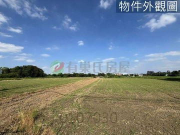 八德茄苳段美農地　臨茄苳路旁、都計內農地、大面寬｜桃園市八德區茄苳段