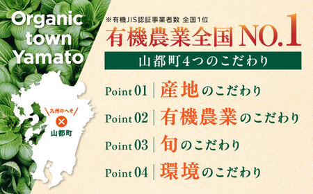 有機野菜 オーガニック 8種セット 詰め合わせ 野菜詰め合わせ 熊本県産有機野菜 山都町産有機野菜 産地直送 高原野菜 新鮮有機野菜 採れたて有機野菜 旬 有機野菜セット 有機野菜食べ比べ 九州産有機野菜 有機野菜 オーガニック[YAF015]