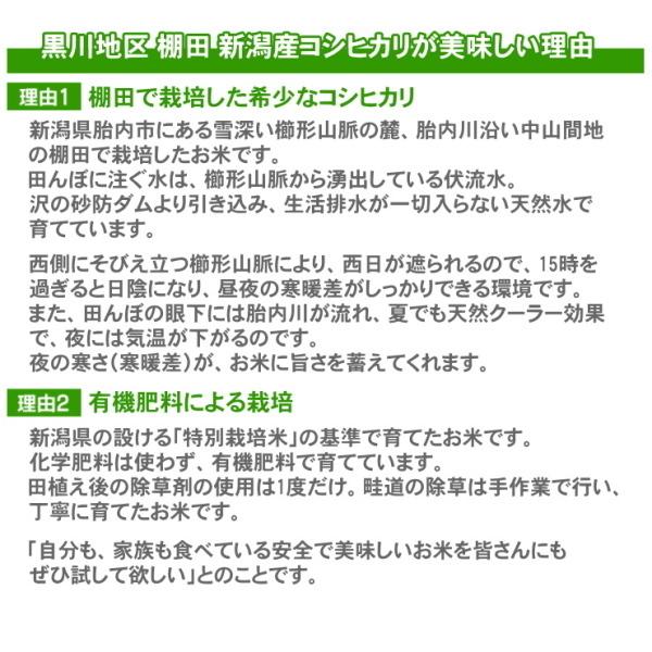 敬老の日 プレゼント お米 1kg 高級銘柄米 棚田米 新潟産コシヒカリ 無洗米 敬老の日ギフト 新潟米 新潟 こしひかり 贈答 送料無料