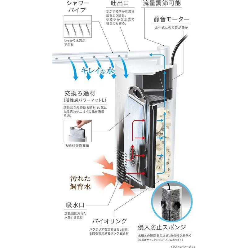 トット　パーフェクトフィルター　ミニミニ（ＳＳ型）　淡水用　５０Ｈｚ（東日本用）　水槽用外掛式フィルター　沖縄別途送料