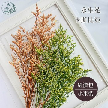 大好屋 現貨 卡斯比亞 永生花 DIY手作 攝影道具  永生卡斯比亞 不凋花永生花 手作花浮游花 居家 室內裝
