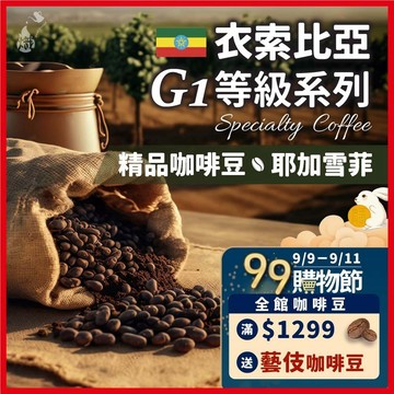 【咖啡豆熱銷TOP1】咖啡豆 耶加雪菲 單品咖啡 精品咖啡 手沖咖啡 美式咖啡 咖啡 冰咖啡 《熾咖啡烘焙工坊》
