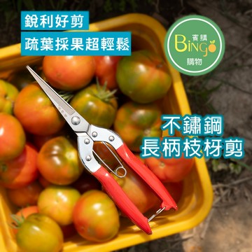 賓購 園藝長尖嘴剪 花剪 園藝剪刀 省力剪刀 枝枒剪 檳榔剪 花藝剪 果梗剪 採果剪 疏葉剪 園藝剪 採果剪 草莓 蕃茄