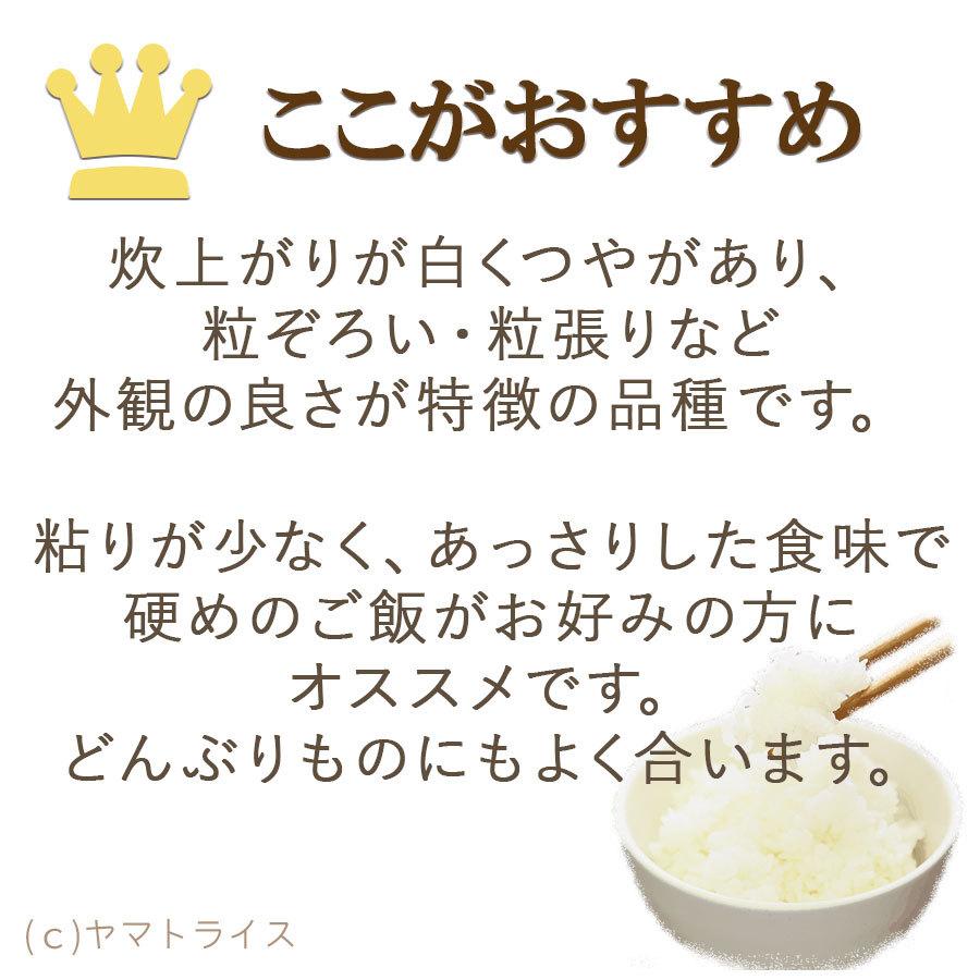 無洗米 米 お米 10kg まっしぐら 青森県産 5kg×2 令和5年産