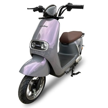 向銓 MIKA 微型電動二輪車 PEG-058 /泰勝 TSV66