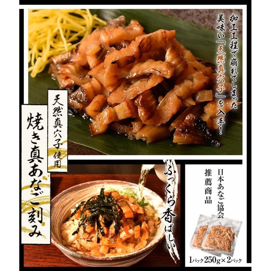 穴子 アナゴ 天然真あなご使用！ 焼き真あなご刻み 1P（250g）×2P 合計500g 送料無料