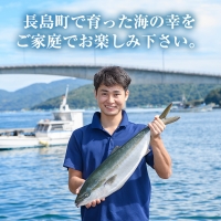 ＜年末の発送日が選べる！2023年12月27日発送予定＞長島町特産「鯛王」(2匹セット)jfa-940-1227