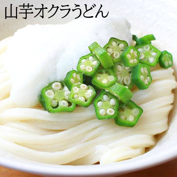 麺類 讃岐うどん 半生麺300ｇ 蕎麦300g 6食 1000円