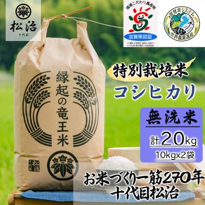 ふるさと納税 竜王町 特別栽培米 十代目松治のコシヒカリ 「縁起の竜王米」 無洗米20kg 滋賀県産