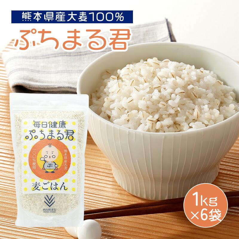 ぷちまる君 もち麦 1kg 6袋 熊本県産 大麦100% ぷちぷち もっちり 麦ごはん 食物繊維 もちむぎ  国産 もち 麦 麦飯 麦ご飯 もち むぎ飯 西田精麦 ぷちまるくん