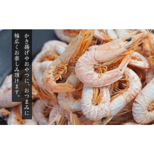 ふるさと納税 兵庫県 淡路市 淡路島産 パリパリ干し海老 100ｇ×5袋