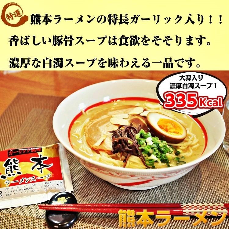 ポイント消化　熊本ラーメン　500円　九州とんこつスープ　2人前セット　お取り寄せ　ご当地ラーメン　ガーリック風味　メール便商品　お試しグルメギフト