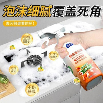 暢銷熱賣🚀清潔劑 洗碗精隨身瓶 強效多功能潔廁劑 清洗液 馬桶清潔 居家必備愛恩倍重油污淨廚房抽油煙機專用