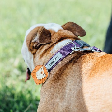 【tails&me 尾巴與我】經典尼龍帶 寵物項圈 (多色可選)