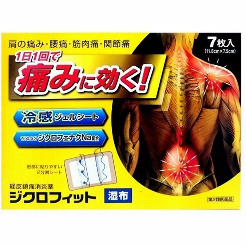 着後レビューで 送料無料 サロンパスae 大判 12枚 2個 腰痛 筋肉痛に 第3類医薬品 Riosmauricio Com