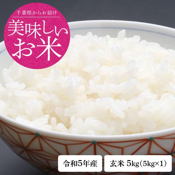 新米 米 5kg お試し 玄米 令和5年 千葉県産 コシヒカリ お米 送料無料  ※地域によりまして別途送料が発生致します。