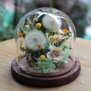 【Bloom & Grace 永生花禮花藝店】純淨蒲公英永生花玻璃花盅(木頭底) 永生花 送禮 節日送禮 禮物《可備註填寫卡片內容》
