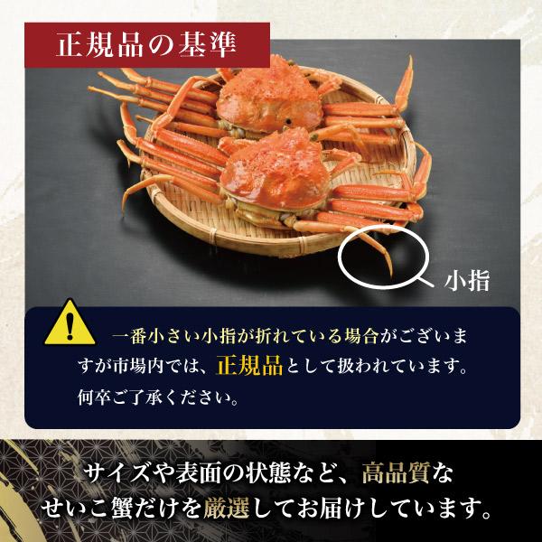 かに カニ 蟹 せいこ蟹 セイコガニ セコガニ 姿 送料無料 国産 取り寄せ お歳暮 ギフト プレゼント お祝い 贈答 普通サイズ 150g前後 5杯