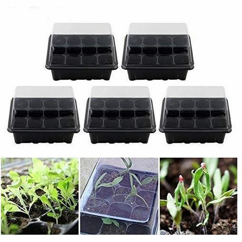 Readygohigh 育苗ボックス 5個セット 育苗ポット 育苗トレイ 育苗箱 種まきハウス 種子トレイ 育苗セット 12穴育苗キット セ 通販 Lineポイント最大0 5 Get Lineショッピング