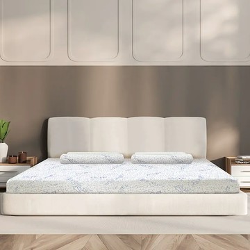 【台中店-TENDAYS】DISCOVERY柔眠床8.5cm