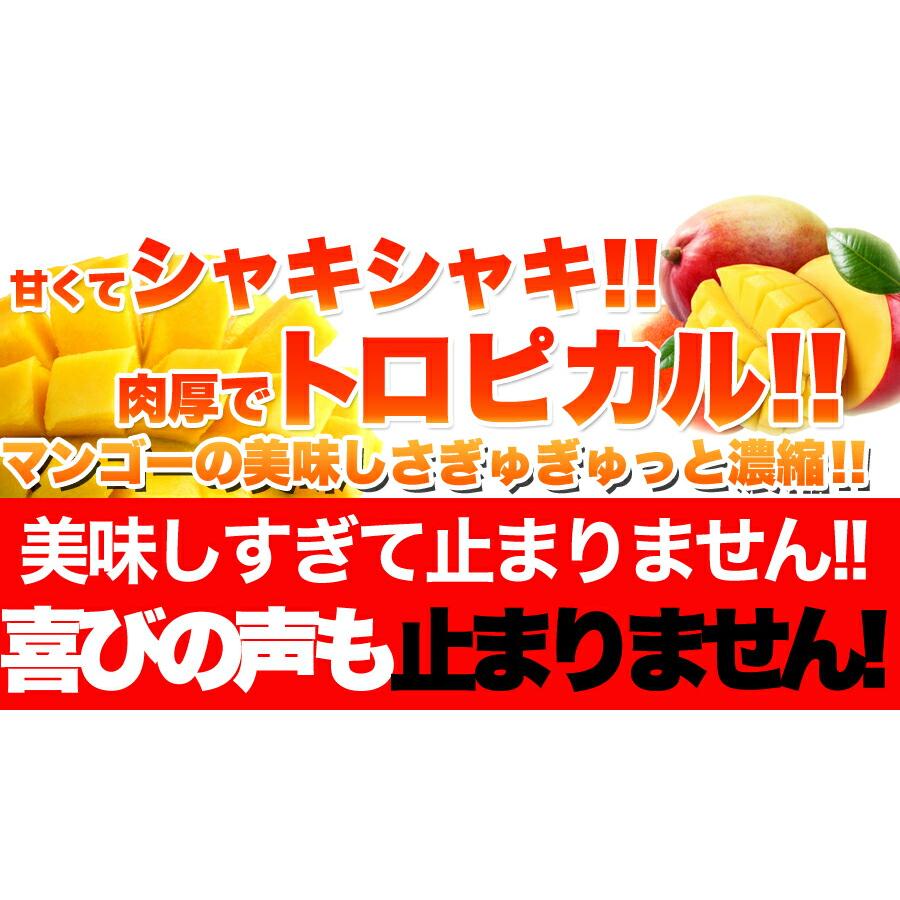 「お手軽」高級ドライマンゴーメガ盛り１ｋｇ≪常温≫