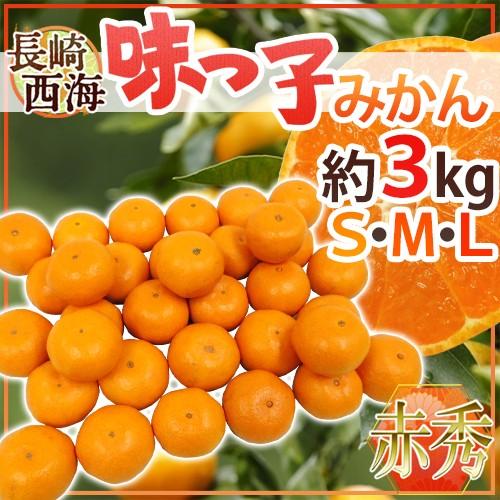 みかん 長崎 西海 ”味っ子みかん” 赤秀品 S M Lサイズ 約3kg 最低糖度13度保証 送料無料