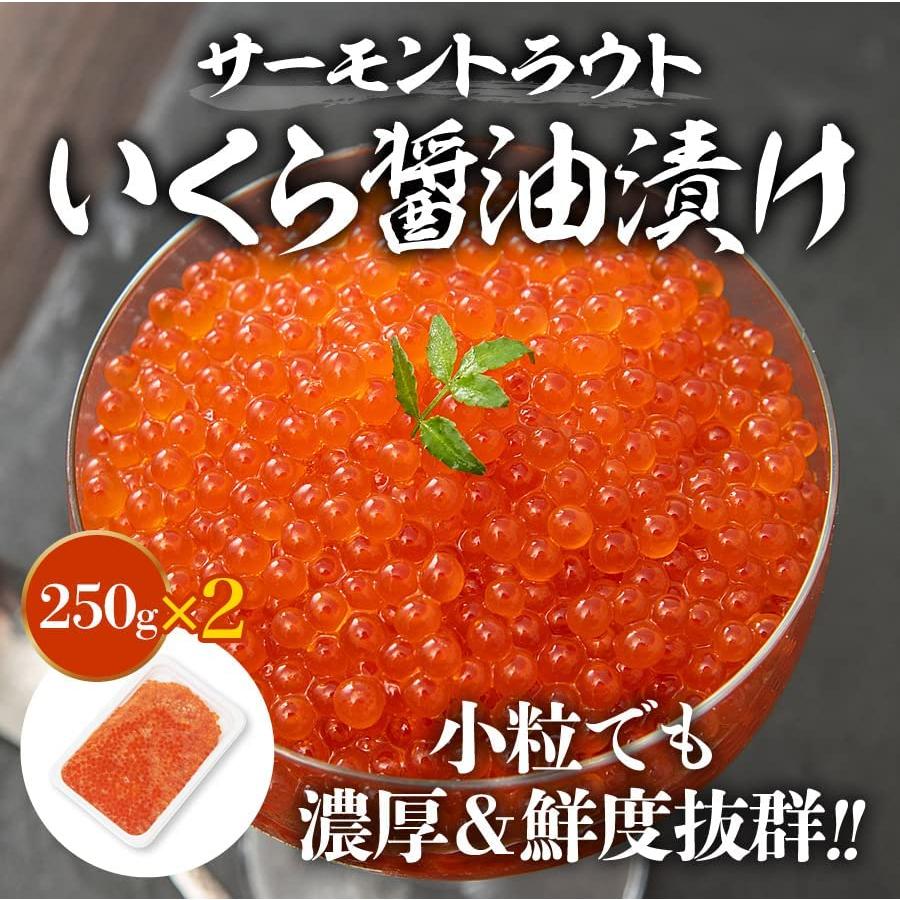 食の達人 いくら 醤油漬け トラウトサーモン 500g (250g×2P)