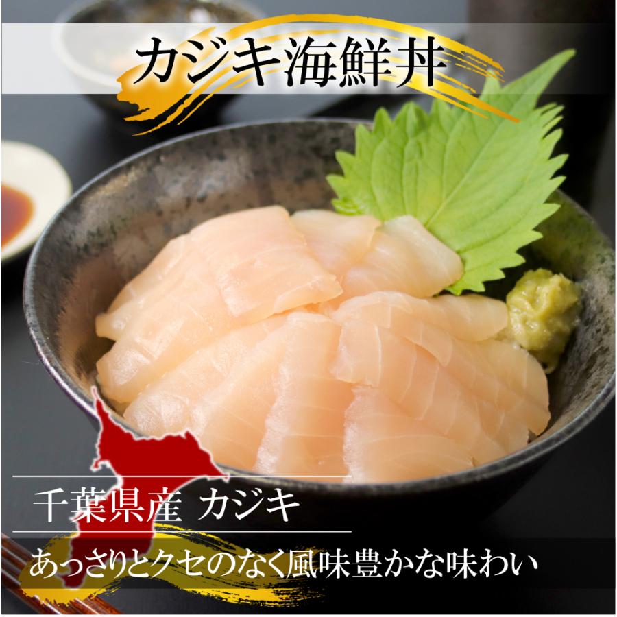 海鮮 グルメ 海鮮丼 ６食セット  海鮮丼 ギフト