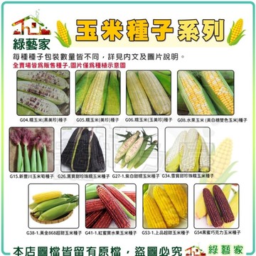 【綠藝家】玉米種子系列(各包裝數量詳見內文及圖片說明)水果玉米 玉米筍 糯玉米 超甜玉米 黑玉