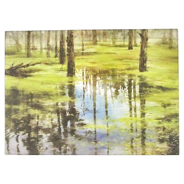 TAIWANG 台旺文創 拼圖 520片 尺寸530x380mm  忘憂 綠色  1盒