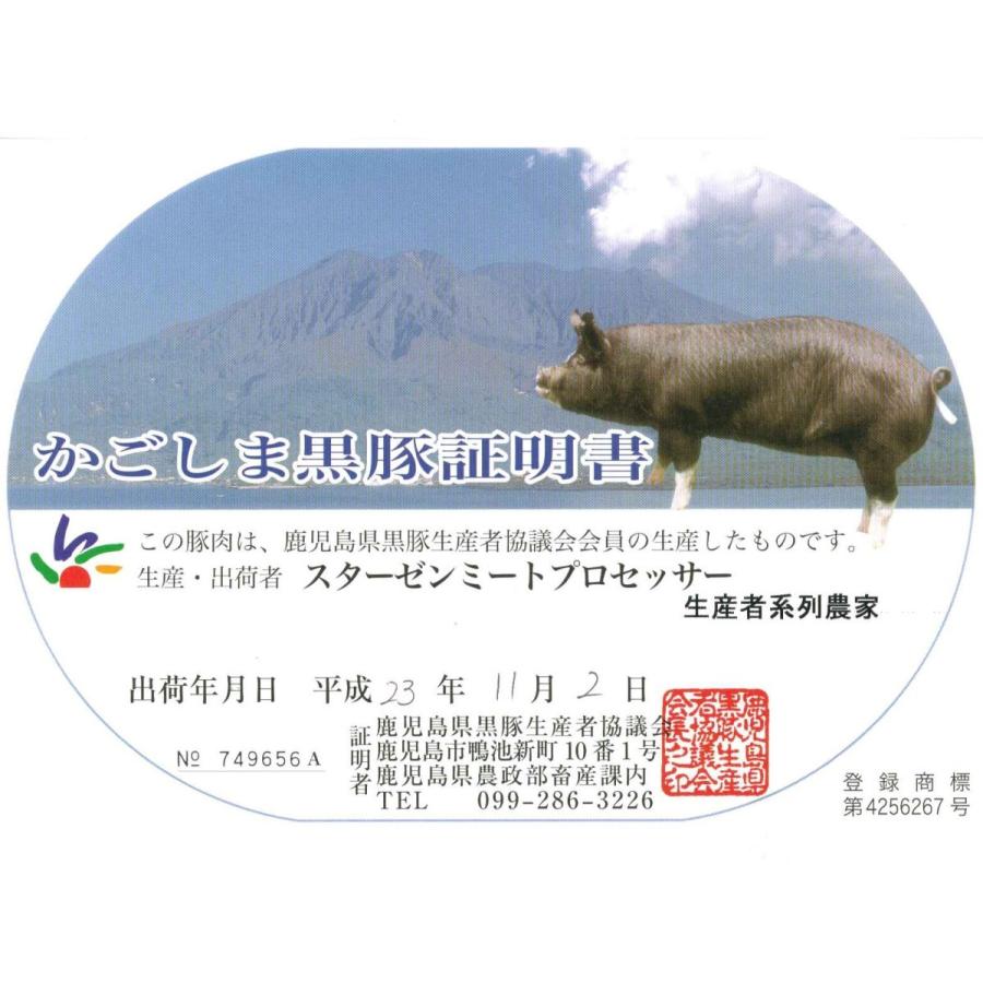 肉 豚肉 黒豚 切り落し こま切れ ウデ肉 2kg 250g×8 小分け 鹿児島