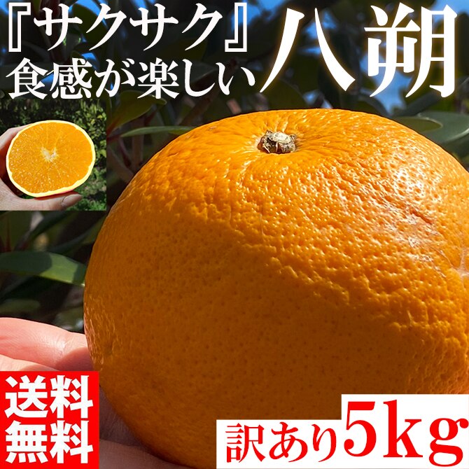 2月下旬発送予約販売 はっさく 八朔 5kg 訳あり 和歌山 みかん オレンジ