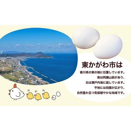 ふるさと納税 東かがわ市のたまご「鶏卵Mサイズ（6個×2P）」 香川県東かがわ市